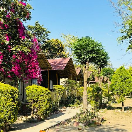 Camp High 5 Jayalgarh Hotel Dāngchura Buitenkant foto