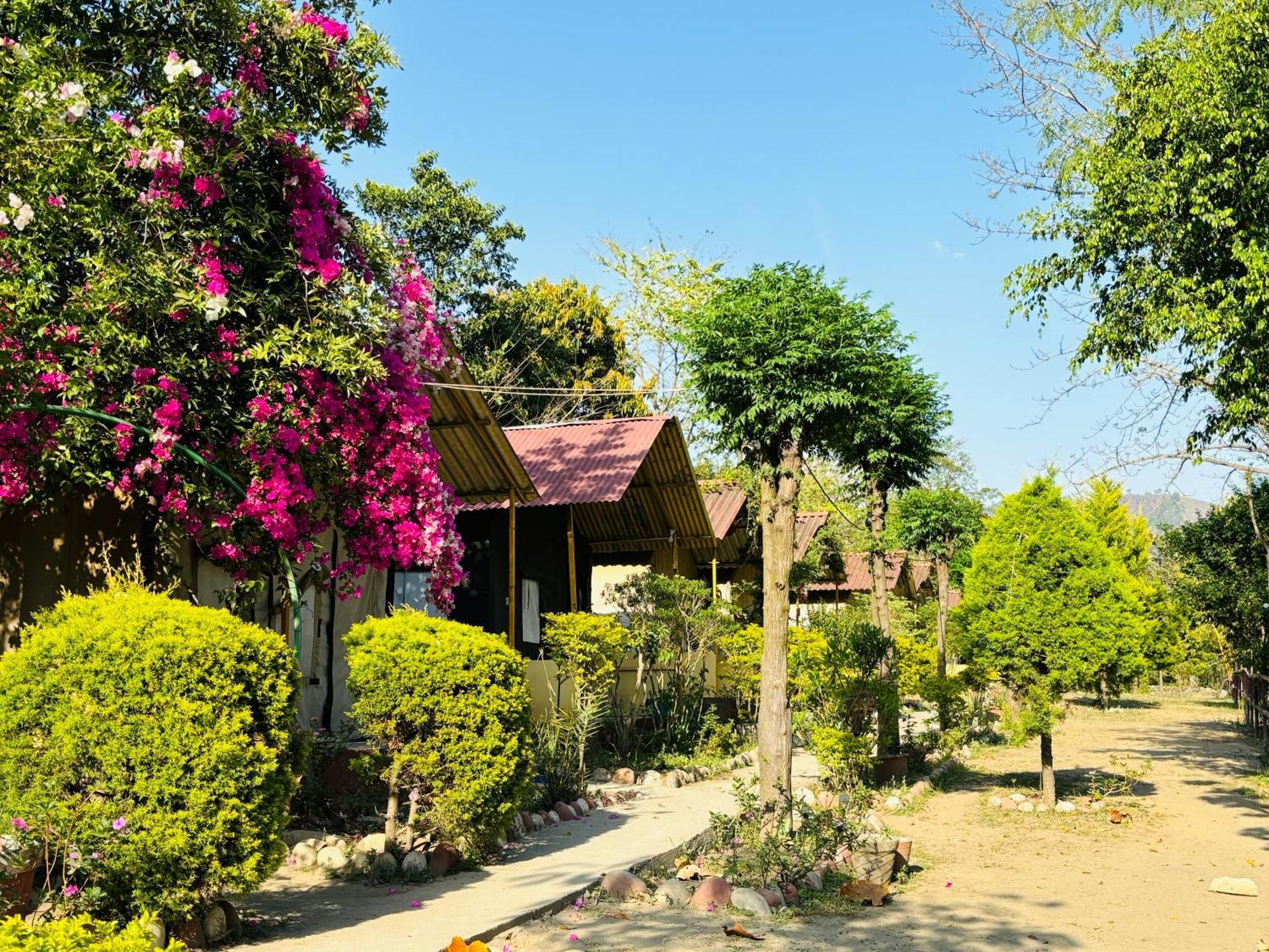Camp High 5 Jayalgarh Hotel Dāngchura Buitenkant foto