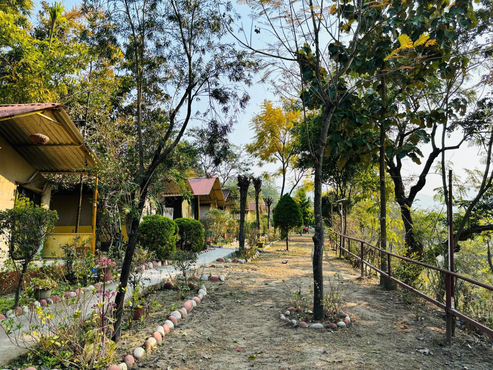Camp High 5 Jayalgarh Hotel Dāngchura Buitenkant foto